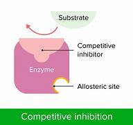 Image result for inhibition