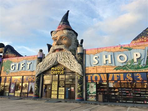 Design Dive: The Aesthetic of Florida - by Jenna O'Brien
