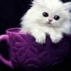 The information about banking can be known from which website - Brainly.in