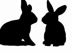 Image result for Bunny Sitting Down Drawing