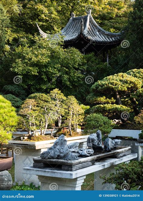 Bonsai Installation at Lingering Garden, One of the Most Famous ...