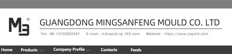 Company Overview - Foshan Shunde Mingsanfeng Mould Co.,Ltd