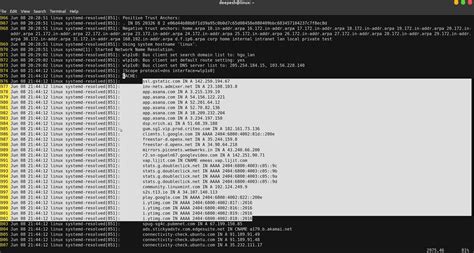 Flush Dns Cache Linux at Sandra Madrigal blog