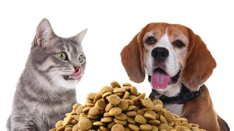 Understanding Protein in Dog Food & Cat Food Labels | Carniwel