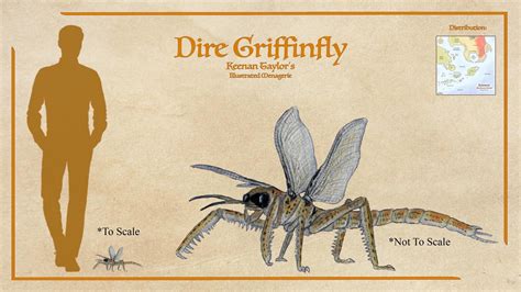 Largest Flying Insects