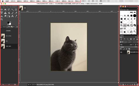 GIMP Python 的图像结果