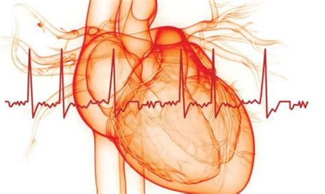 Postoperative atrial Fibrillation associated with increased risk of ...
