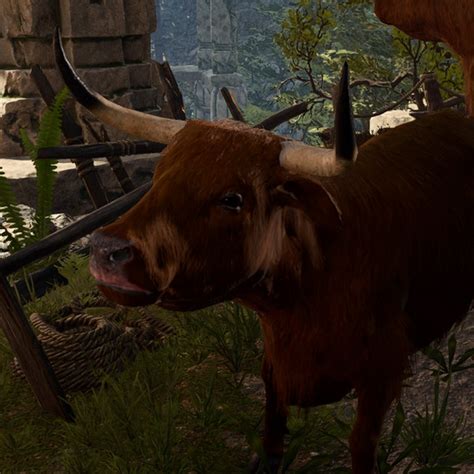 Strange Ox - bg3.wiki