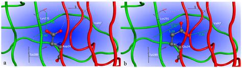 Development of Therapeutic Chimeric Uricase by Exon Replacement ...