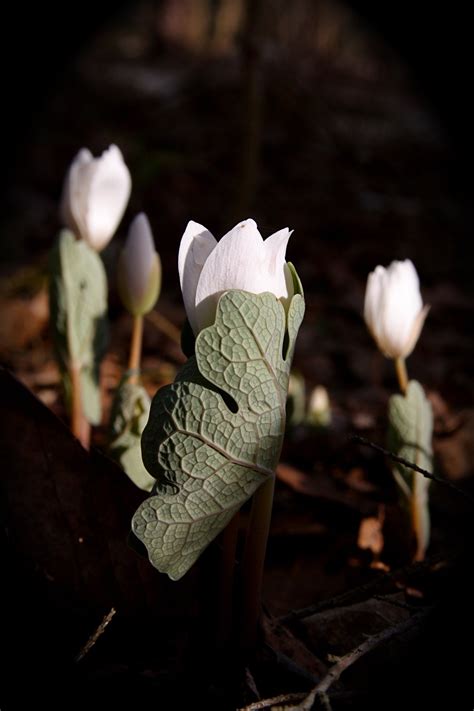 Community Programs — Perkiomen Watershed Conservancy