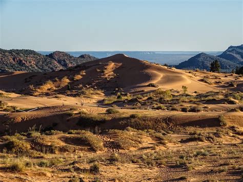 Walking Arizona: First Dune in Coral Pink Sand Dunes State Park