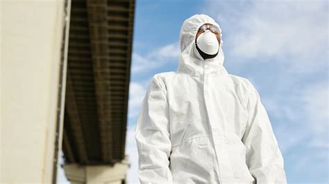 Maple Bugs Removal Company | Maple Bugs Control Services