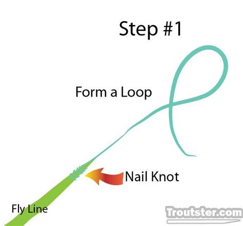 Image result for Loop to Loop Knot On Fly Line