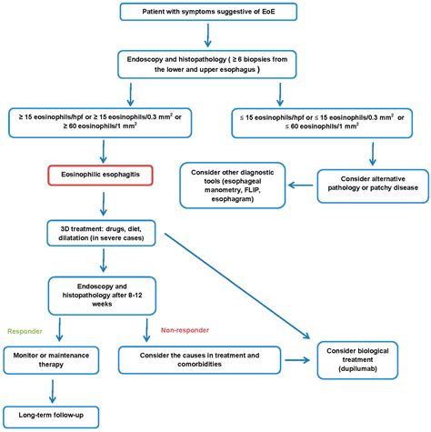 Eosinophilic Esophagitis—What Do We Know So Far?