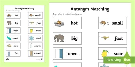 Antonym PDF Matching Worksheet | Primary English Resources