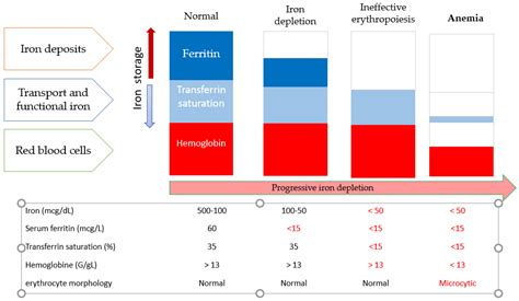 Iron Deficiency in Celiac Disease: Prevalence, Health Impact, and Clinical Management