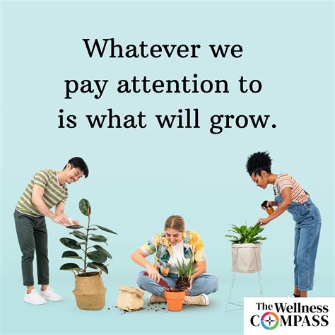 "Paying Attention" — Living Compass