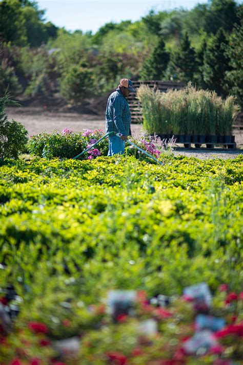 Cloverdale Nursery & Turf Farm | Idaho Preferred