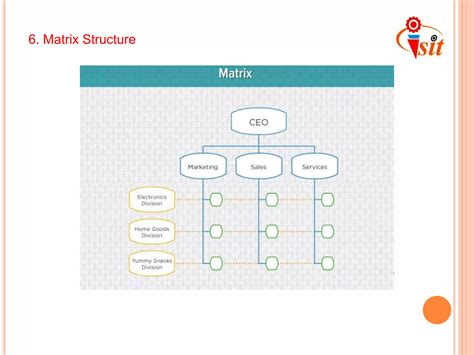 Organization Structure Types 的图像结果