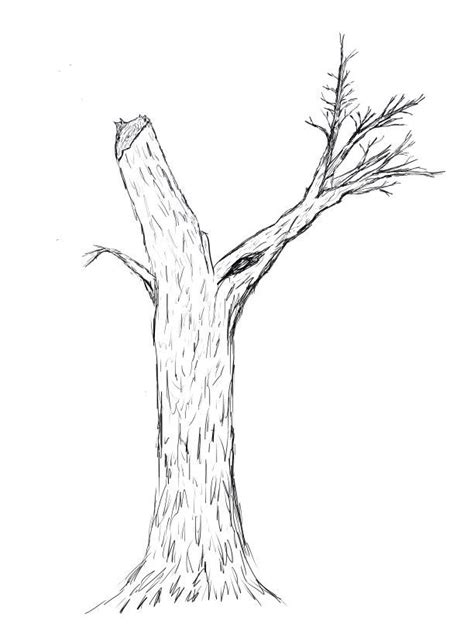 Image result for Drawing Using Perspective