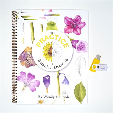 Color Draw 的图像结果