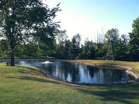 Backyard pond landscaping | How to create a backyard pond, Peaceful ...