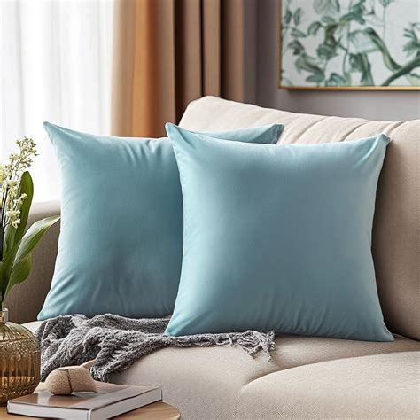 Amazon.com: QUORGVES Velvet Light Blue Throw Pillows 16x16 Inch Set of ...
