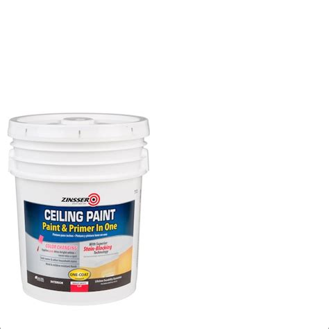 Zinsser Ceiling Flat Bright White Ceiling Paint and Primer (5-Gallon ...