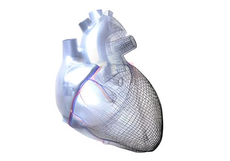 Image result for Computer Human Heart Model