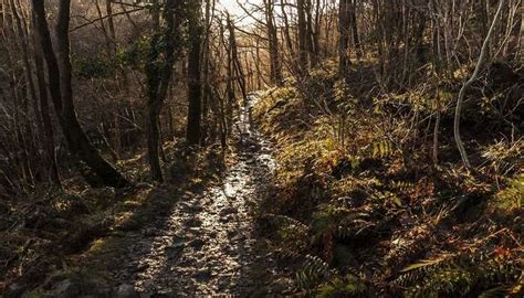 7 Things To Do In Chilliwack On Your Canadian Vacay!