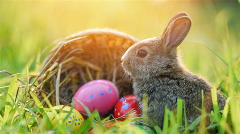 Why is Easter different every year? | 13newsnow.com