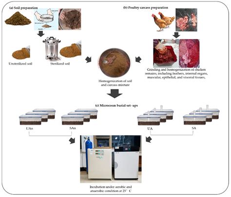 Impact of Soil Microbes and Oxygen Availability on Bacterial Community ...