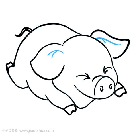 小猪简笔画图片教程_猪简笔画