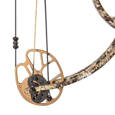 Bear Cruzer G2 Review - Bow Strike - The Best Compound Bow Reviews