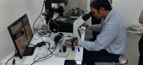 Top Clinical Embryology Courses in India, Delhi NCR: SEART