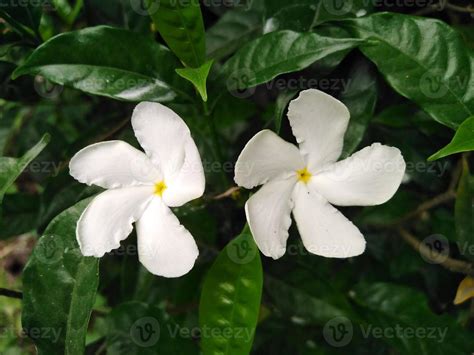 Photography in Nature 的图像结果