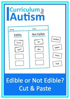 Autism Edible Non-Edible Sort Worksheets Safety Behavior Life Skills ...