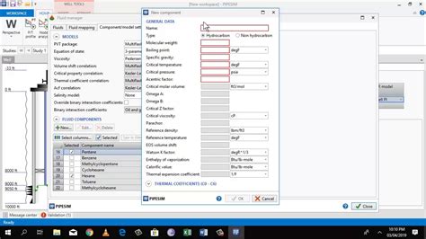 Image result for Pipesim Tutorial