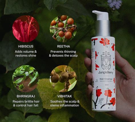 Hair Fall Recovery Regime – JungleBerry