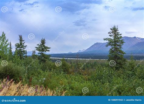 Denali National Park, George Parks Highway, Alaska Mountain Range ...
