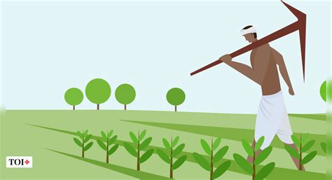 Farmers protest in India: Farmers have a bigger problem than farm laws ...