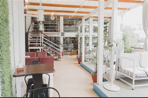 Image result for Himalayan Java Coffee