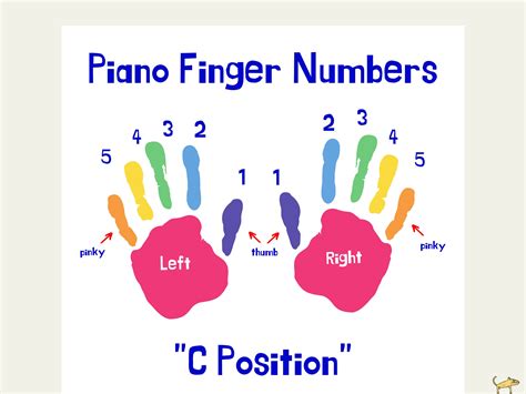 Piano Finger Numbers Poster, C Position Piano Worksheet, Music Theory ...