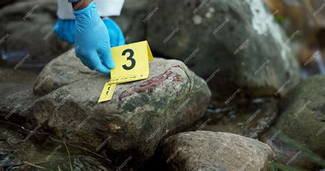 Premium Photo | Hands evidence marker and csi for investigation at ...