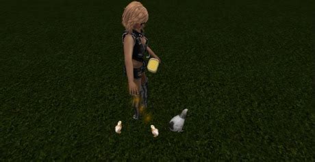 Image result for Second Life Scripting Animals