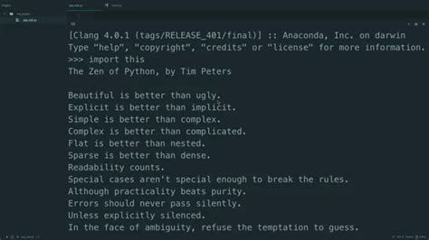 Image result for Google Python Style Section