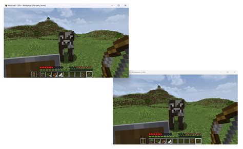 Image result for Enable Spectator Mode Java