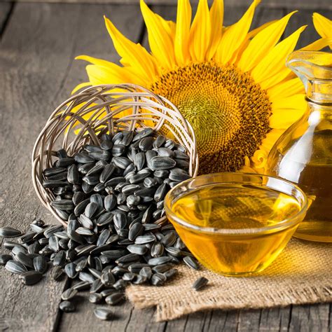 Sunflower Seeds - Black Oil Microgreen | Flower Seeds in Packets & Bulk ...