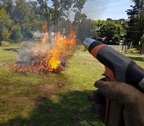 Image result for burn off