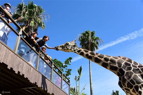 Adventure World 的图像结果